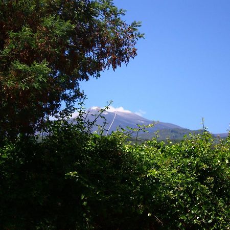 B&B Sotto I Pini Zafferana Etnea Buitenkant foto