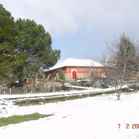 B&B Sotto I Pini Zafferana Etnea Buitenkant foto