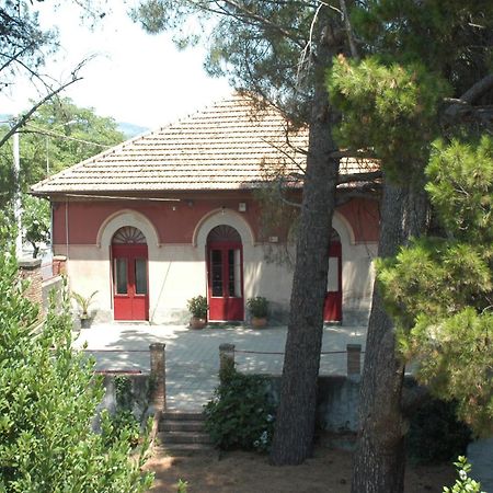 B&B Sotto I Pini Zafferana Etnea Buitenkant foto