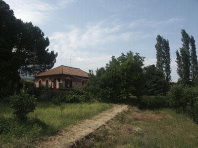 B&B Sotto I Pini Zafferana Etnea Buitenkant foto