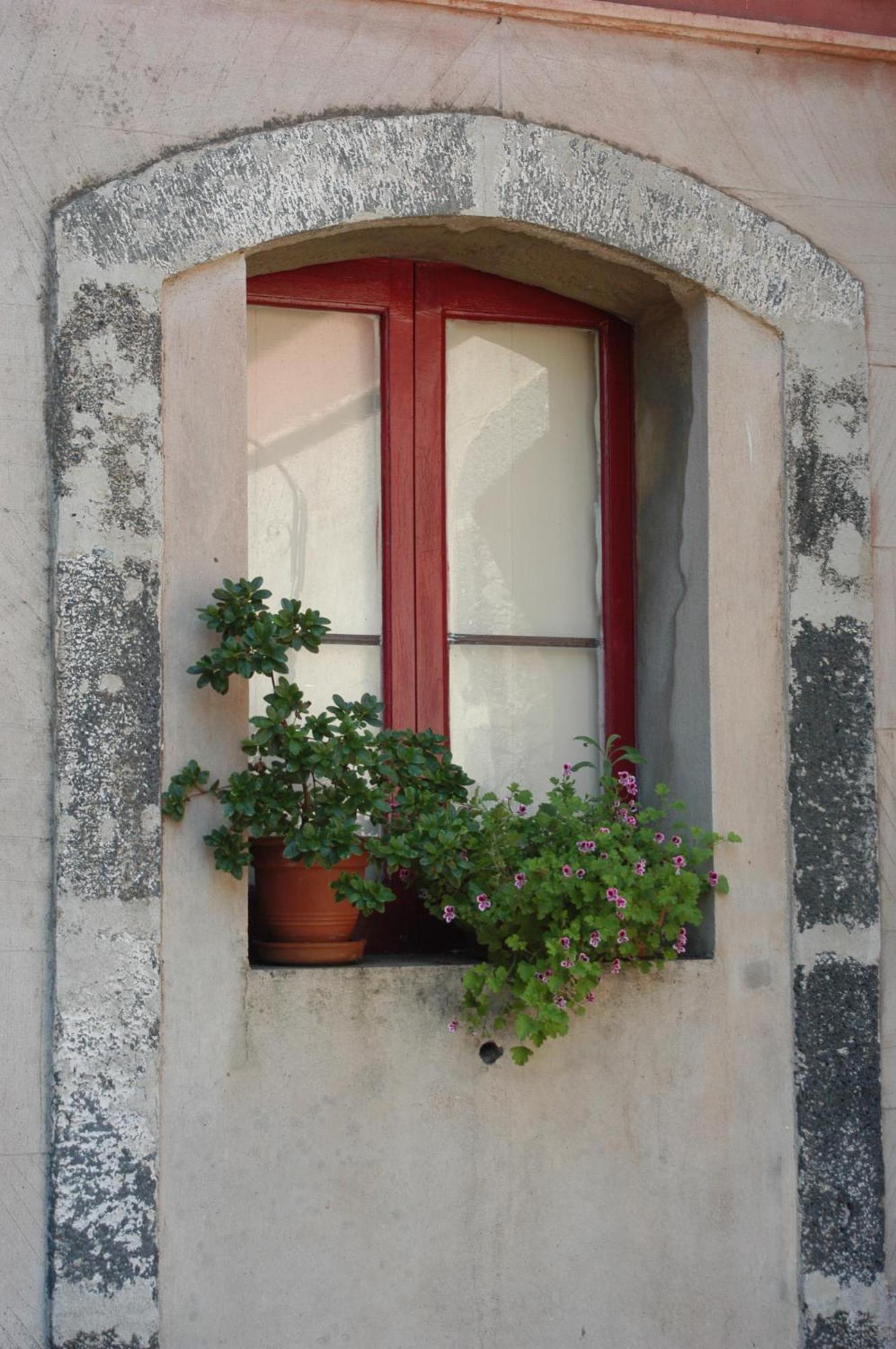 B&B Sotto I Pini Zafferana Etnea Buitenkant foto